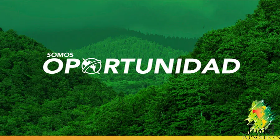 Equipo de City Peten