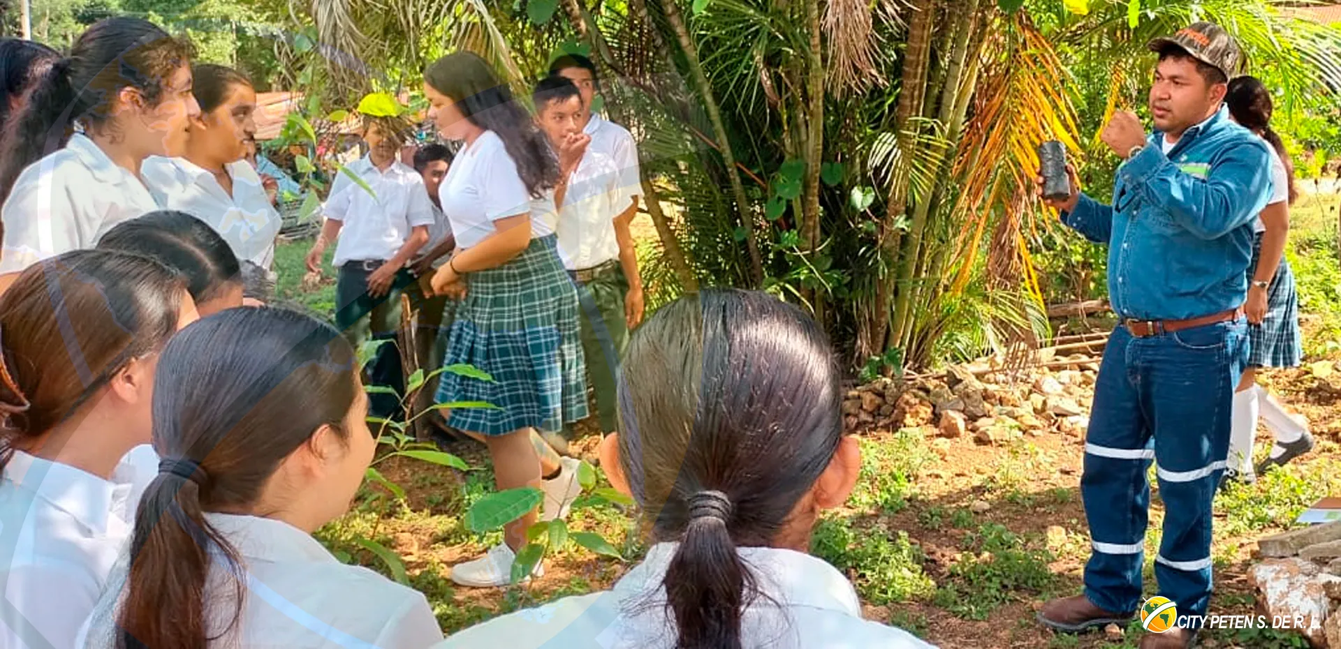 RSE Reforestación 1