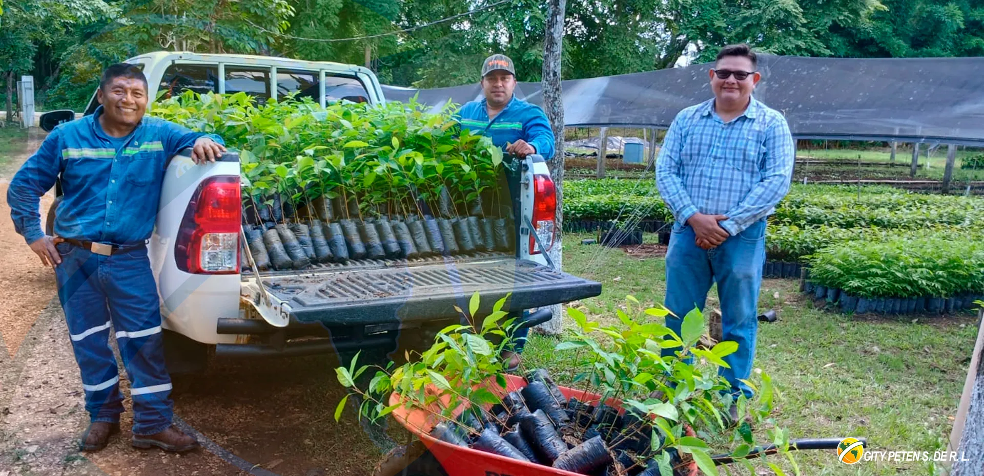 RSE Reforestación 2